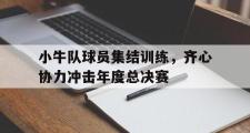 开云下载-小牛队球员集结训练，齐心协力冲击年度总决赛的简单介绍