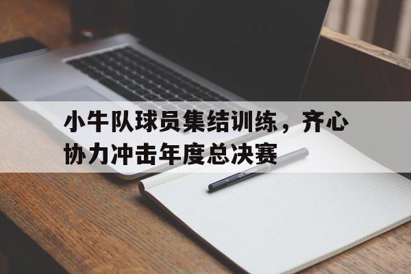 小牛队球员集结训练，齐心协力冲击年度总决赛的简单介绍