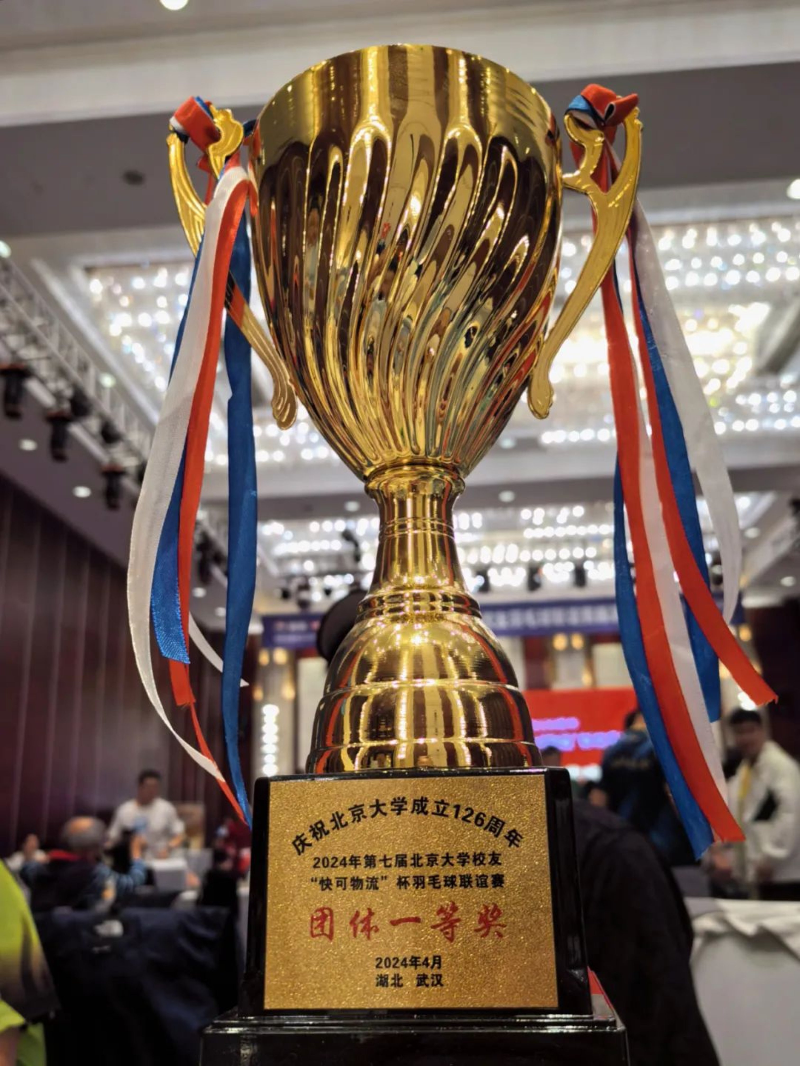 羽毛球再创历史,冠军实至名归的简单介绍 羽毛球再创历史,冠军实至名归的简单介绍