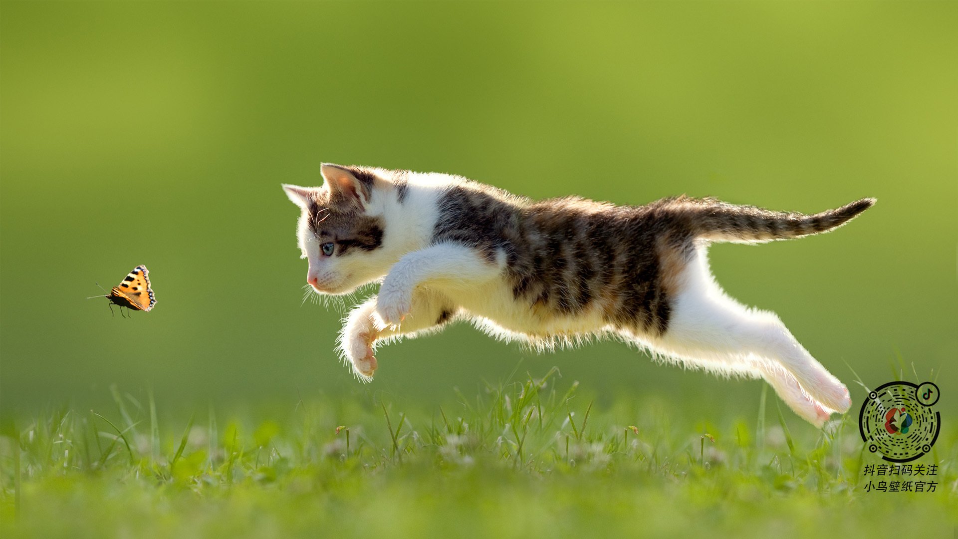 切特单手擎天，上海队打穿太阳的背后，一个天才如何重构比赛法则