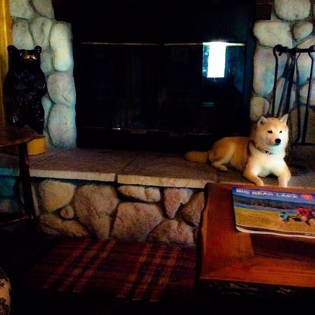 经典对决超越胜负,苏亚雷斯一锤定音,巨星价值照亮圣西罗