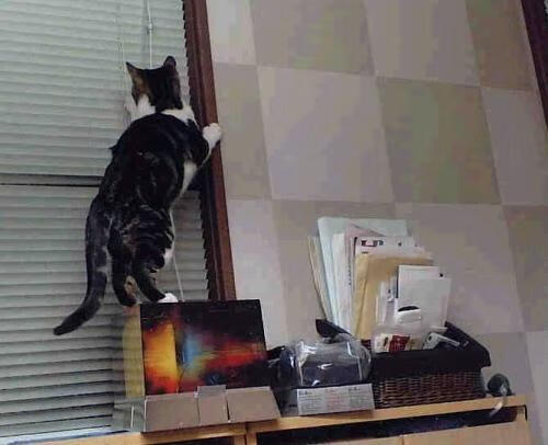 灼热与冷冽,当太阳的团队浪潮遇上保罗的终极接管