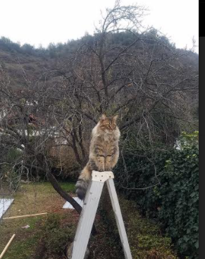乔治终场三分定江山,硬仗之王率太阳加时险胜广东