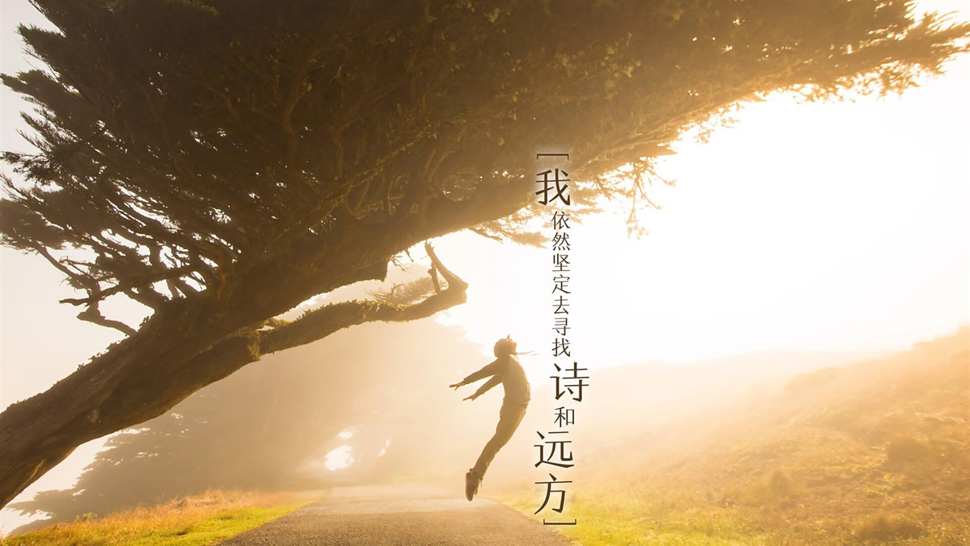 一神与一队,约基奇扛起全队 vs 黄蜂制霸76人的胜负哲学