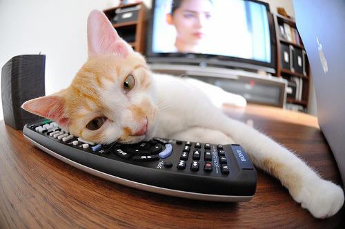 恩佐化身中场节拍器,马赛三球轻取毕尔巴鄂竞技