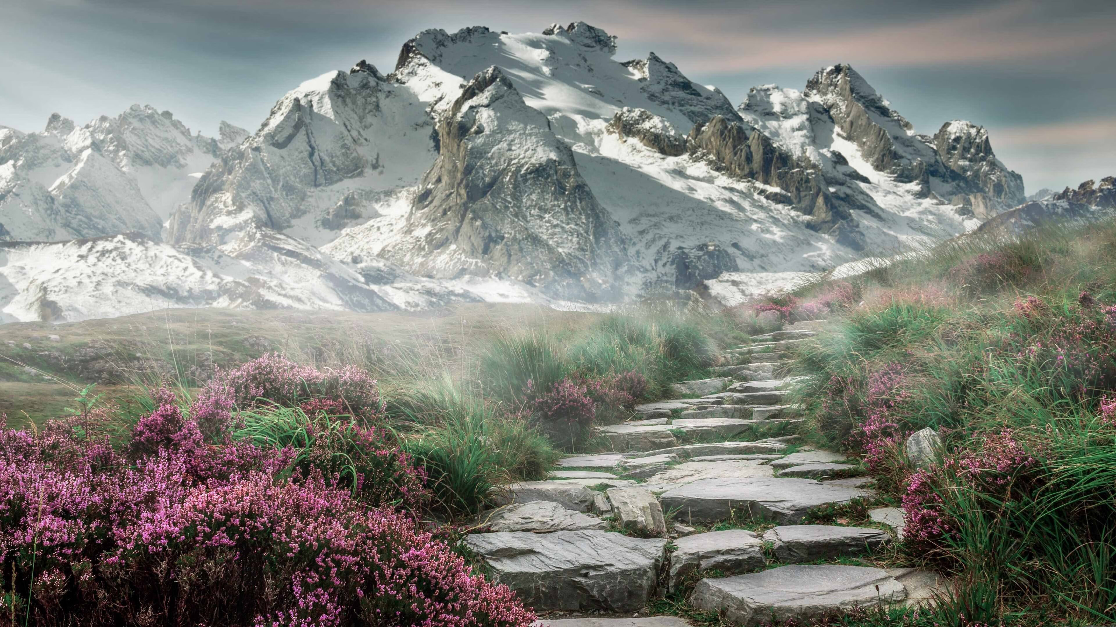 凯恩一锤定音，拉齐奥力克奥地利续写欧战传奇