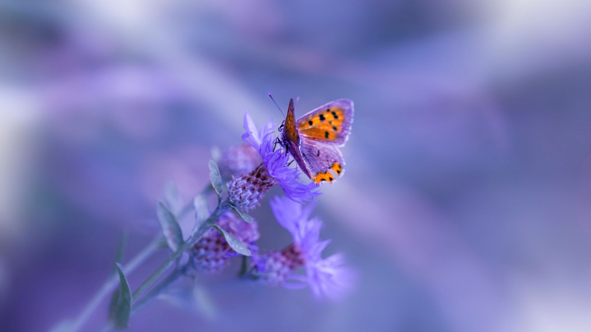 铁血加时与神迹扑救，绝境中的体育掌控力