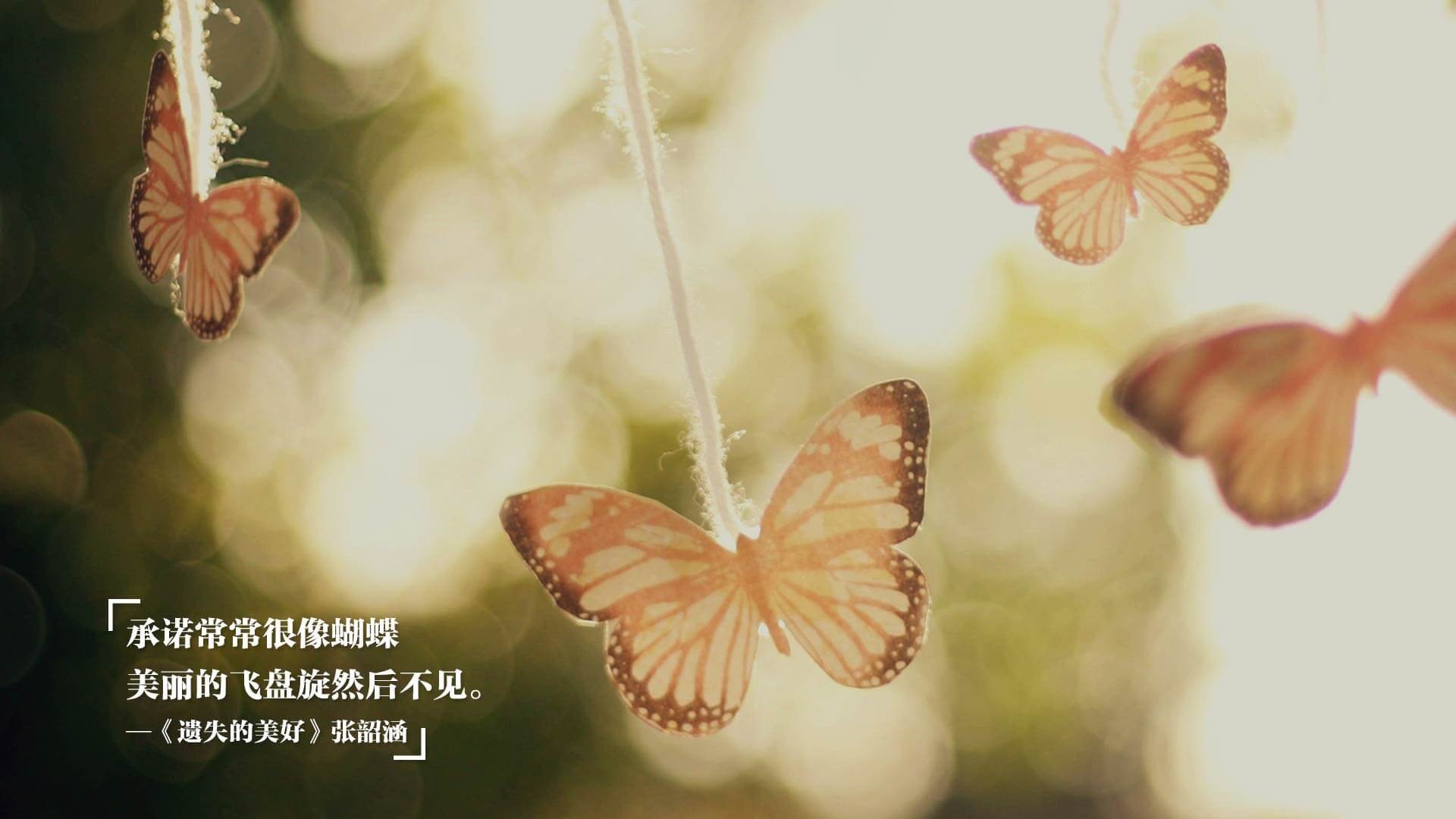 体育双雄会，伊朗篮球全面压制安哥拉，格纳布里足球生死战主宰赛场