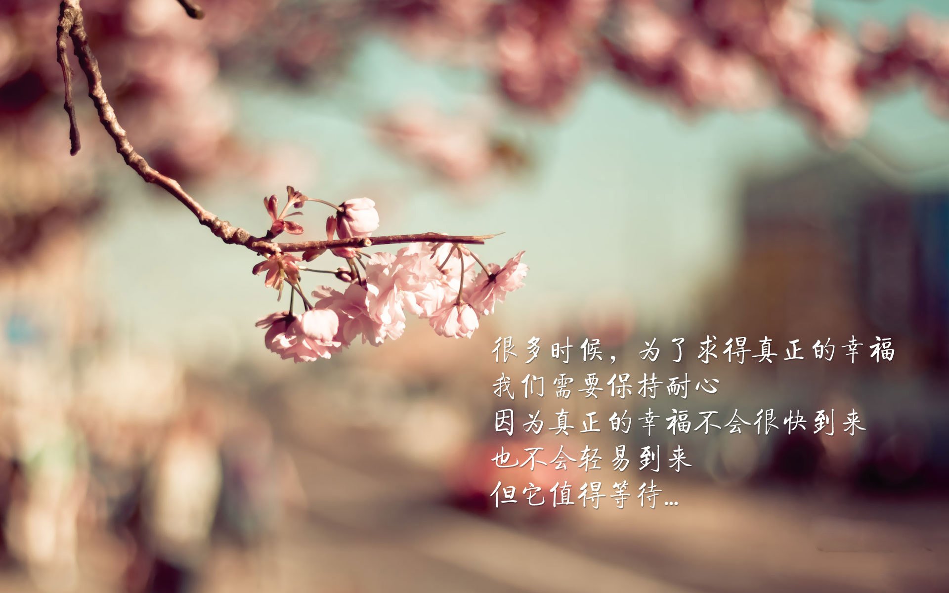 北境飓风!克瓦拉茨赫利亚一箭定江山,莱比锡红牛力克坚韧威尔士