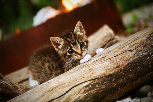 数字革命冲垮费城铁壁—2026世界杯焦点战复盘