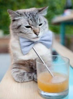 压哨绝杀与星辰舞台,辽宁与塔图姆的共同强者密码