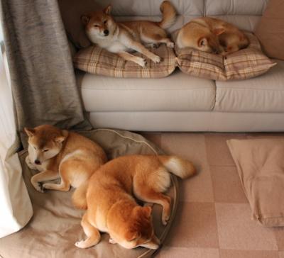 年度焦点之战,乔治高光之夜,一剑封喉定乾坤